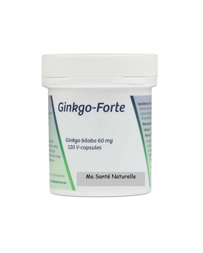 GINKGO BILOBA forte 60 mg...